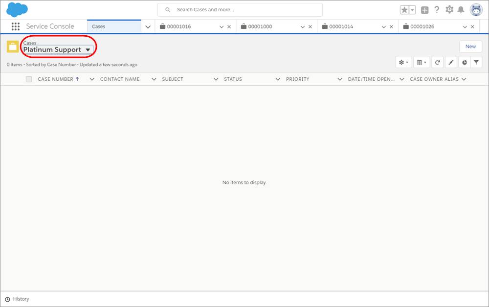 A screenshot of an empty view for Platinum Support on the Cases tab.