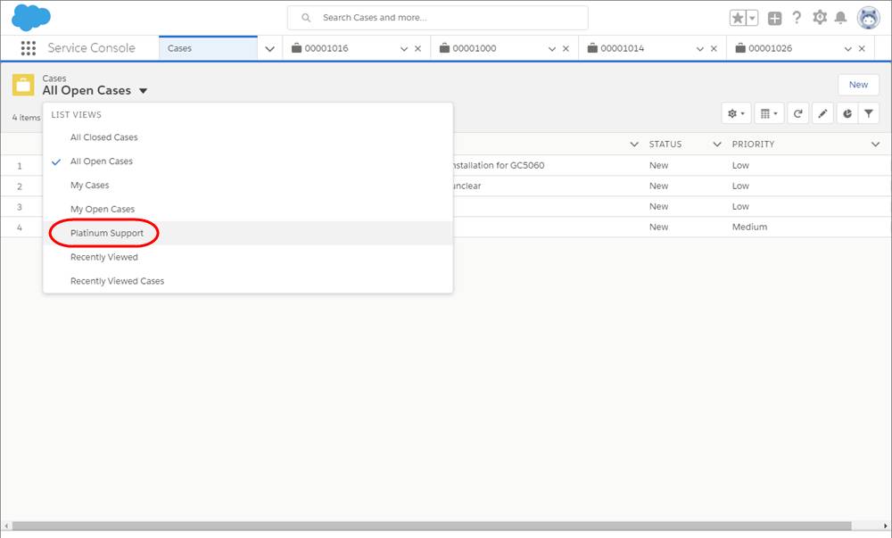 Screenshot der Registerkarte 'Kundenvorgänge' mit ausgewähltem Listeneintrag 'Platin-Support'