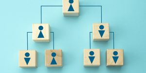 Organization Chart