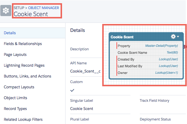 Confronto tra un oggetto in Object Manager (Gestore oggetti) e uno in Schema Builder (Generatore di schemi).