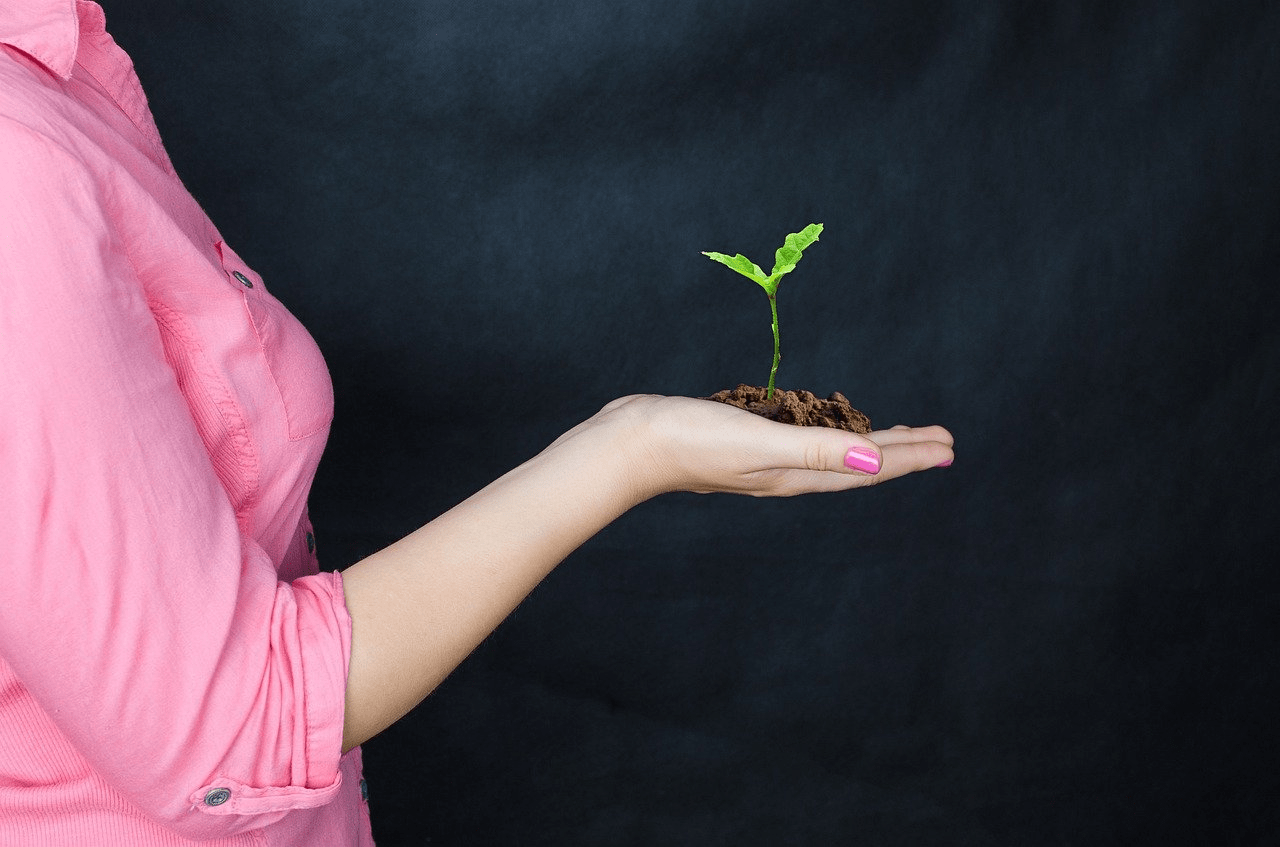 Accountability: what it is and why it’s important for a Project Manager