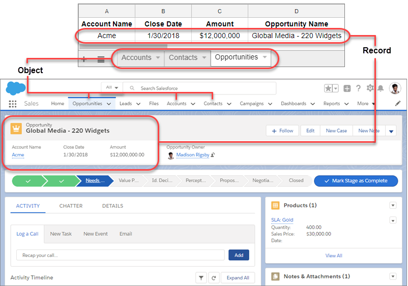 Diagramma che raffigura un foglio di calcolo e un oggetto Salesforce. Le schede del foglio di calcolo corrispondono a oggetti Salesforce e le sue righe corrispondono a record Salesforce.