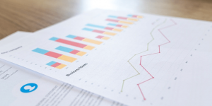 the project management report